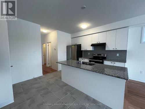 259 Port Crescent, Welland (774 - Dain City), ON - Indoor Photo Showing Kitchen With Double Sink