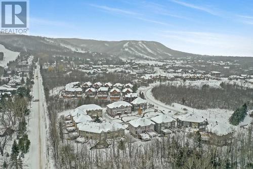 17 - 224 Blueski George Crescent, Blue Mountains (Blue Mountain Resort Area), ON - Outdoor With View