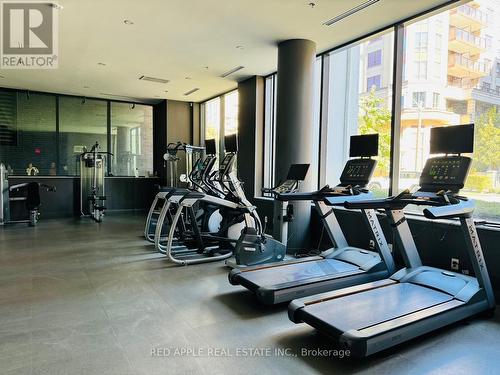 306 - 18 Rean Drive, Toronto, ON - Indoor Photo Showing Gym Room