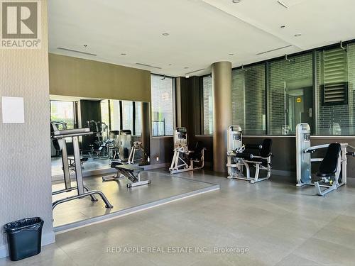 306 - 18 Rean Drive, Toronto, ON - Indoor Photo Showing Gym Room