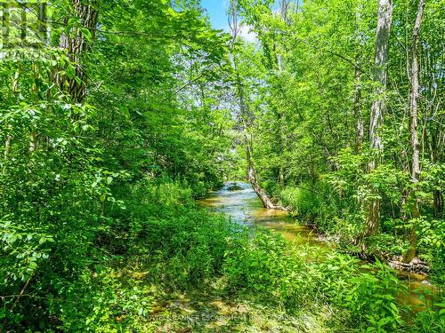 13716 22 Side Road, Halton Hills, ON - Outdoor