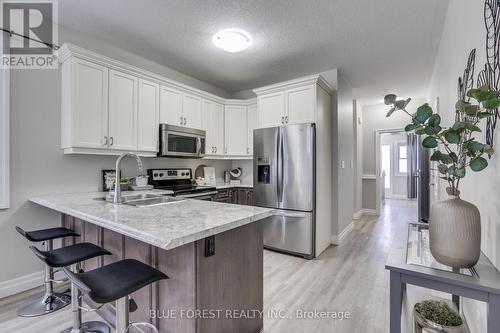 39 Yvonne Crescent, London, ON - Indoor Photo Showing Kitchen With Double Sink