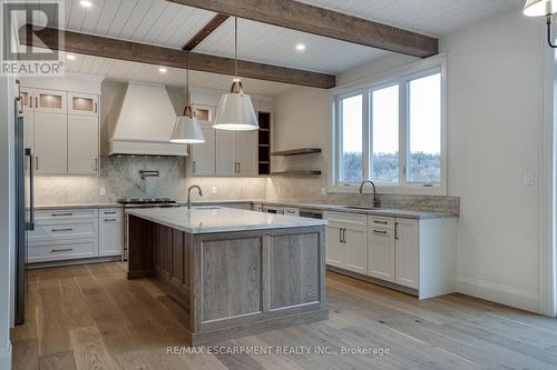 941 Old Mohawk Road, Hamilton, ON - Indoor Photo Showing Kitchen With Upgraded Kitchen