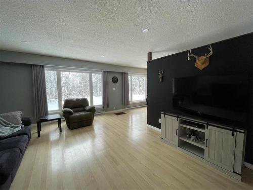 Swan River, Manitoba - Indoor Photo Showing Living Room