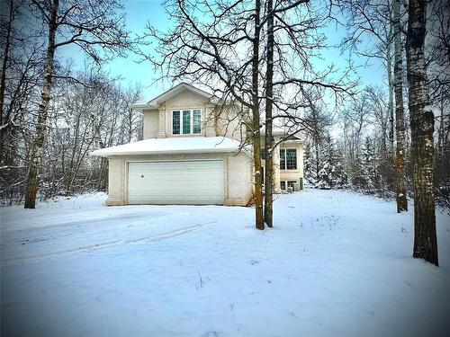 52 Thurston Drive, Ste Anne, MB - Outdoor