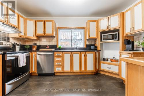 60 Lake Avenue Drive, Hamilton, ON - Indoor Photo Showing Kitchen With Stainless Steel Kitchen