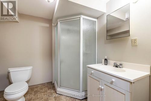 Lower - 62 Henley Drive, Hamilton, ON - Indoor Photo Showing Bathroom