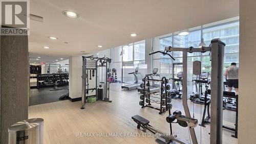 414 - 438 King Street W, Toronto, ON - Indoor Photo Showing Gym Room