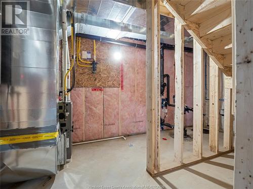 115 Eagle Street, Leamington, ON - Indoor Photo Showing Basement