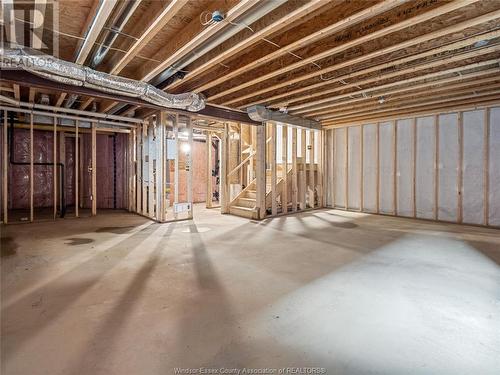 115 Eagle Street, Leamington, ON - Indoor Photo Showing Basement