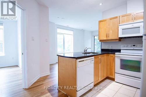 101 - 314 Central Park Drive, Ottawa, ON - Indoor Photo Showing Kitchen