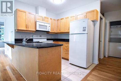 101 - 314 Central Park Drive, Ottawa, ON - Indoor Photo Showing Kitchen