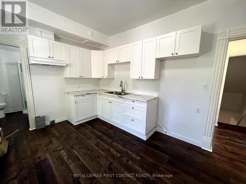 228 Bayfield Street, Barrie, ON - Indoor Photo Showing Kitchen With Double Sink