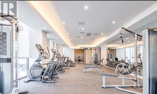 202 - 225 Veterans Drive, Brampton, ON - Indoor Photo Showing Gym Room