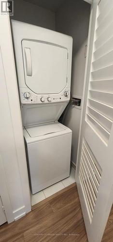 202 - 225 Veterans Drive, Brampton, ON - Indoor Photo Showing Laundry Room