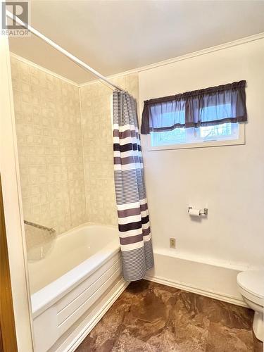 5 Railway Road, Grand Falls-Windsor, NL - Indoor Photo Showing Bathroom