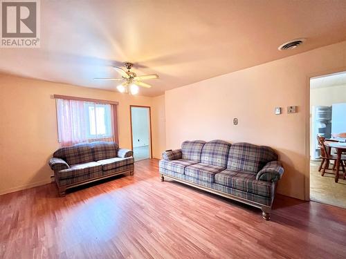 5 Railway Road, Grand Falls-Windsor, NL - Indoor Photo Showing Living Room