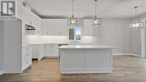 45 Vanrooy Trail, Norfolk, ON - Indoor Photo Showing Kitchen With Upgraded Kitchen