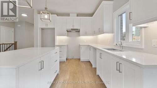 45 Vanrooy Trail, Hamilton, ON - Indoor Photo Showing Kitchen With Double Sink With Upgraded Kitchen