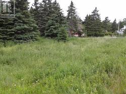 658-668 HARVEY Street  Harbour Grace, NL A0A 2M0