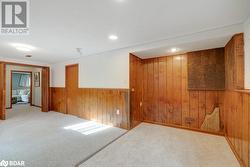 Empty room featuring wooden walls and carpet - 