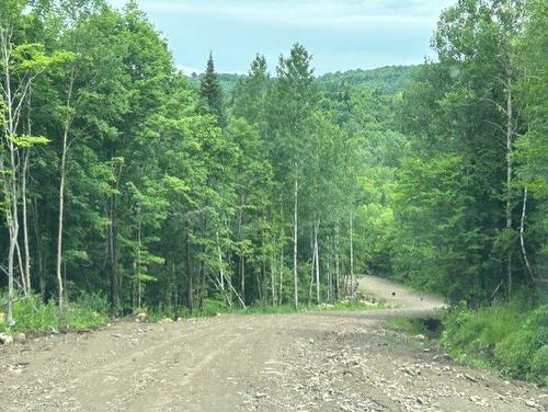 Autre - 1 Ch. Du Petit-Lac-Long, Mandeville, QC - Outdoor With View