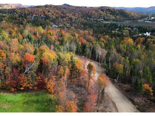 Vue d'ensemble - Rue De La Colonie, Sainte-Adèle, QC 