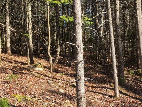 Terre/Terrain - Rue De La Colonie, Sainte-Adèle, QC 