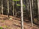 Land/Lot - Rue De La Colonie, Sainte-Adèle, QC 