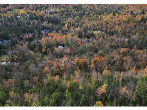 Vue d'ensemble - Rue De La Colonie, Sainte-Adèle, QC 