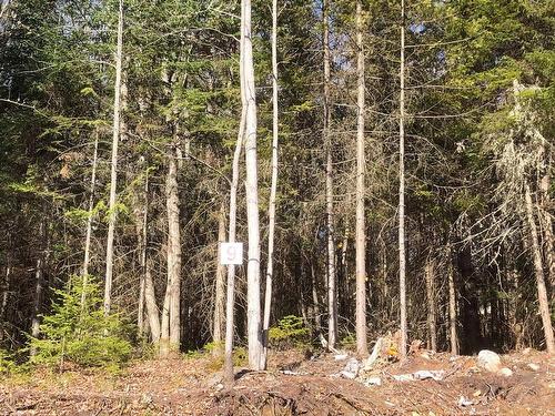 Land/Lot - Rue De La Colonie, Sainte-Adèle, QC 