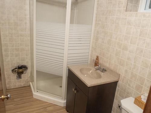 204 Briar Bay, Thunder Bay, ON - Indoor Photo Showing Bathroom