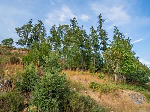 Lot 13 Teal Crt, Lake Cowichan, BC 