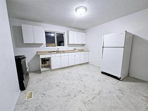 23 Albion St, Nanaimo, BC - Indoor Photo Showing Kitchen With Double Sink