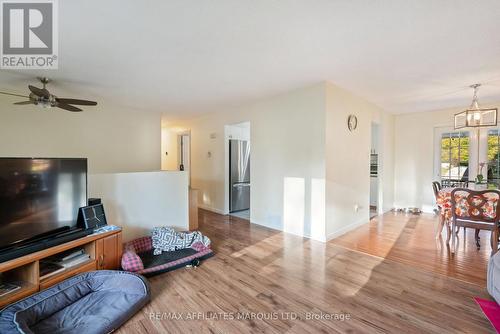 3307 Pearl Street, Ottawa, ON - Indoor Photo Showing Living Room