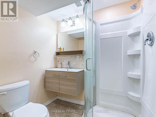 58 - 1 Royalwood Crescent, Hamilton, ON - Indoor Photo Showing Bathroom