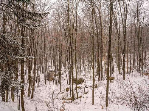 Backyard - 46 383E Avenue, Saint-Hippolyte, QC - Outdoor With View