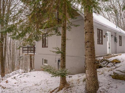 Back facade - 46 383E Avenue, Saint-Hippolyte, QC - Outdoor