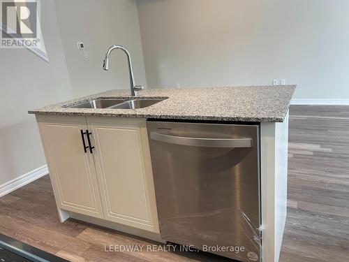 121 - 10 Birmingham Drive, Cambridge, ON - Indoor Photo Showing Kitchen With Double Sink