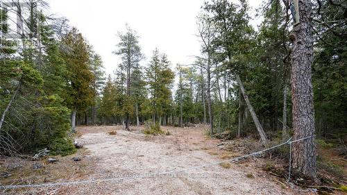 1035 Dorcas Bay Road, Northern Bruce Peninsula, ON 