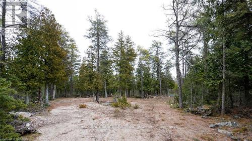 1035 Dorcas Bay Road, Northern Bruce Peninsula, ON 