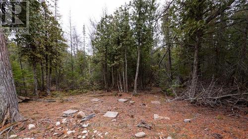 1035 Dorcas Bay Road, Northern Bruce Peninsula, ON 