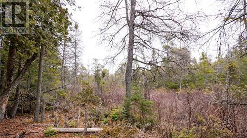 1035 Dorcas Bay Road, Northern Bruce Peninsula, ON 