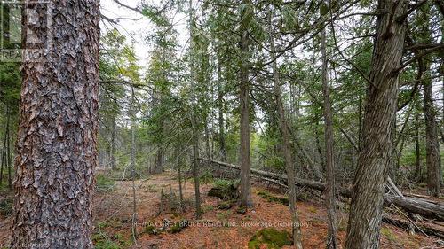 1035 Dorcas Bay Road, Northern Bruce Peninsula, ON 