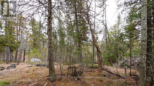 1035 Dorcas Bay Road, Northern Bruce Peninsula, ON 