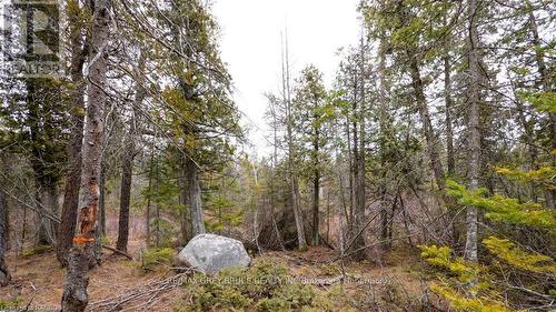 1035 Dorcas Bay Road, Northern Bruce Peninsula, ON 