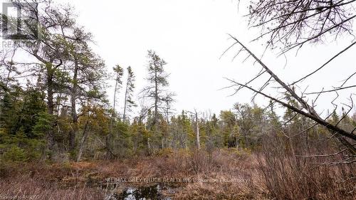 1035 Dorcas Bay Road, Northern Bruce Peninsula, ON 