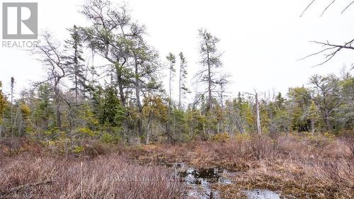 1035 Dorcas Bay Road, Northern Bruce Peninsula, ON 