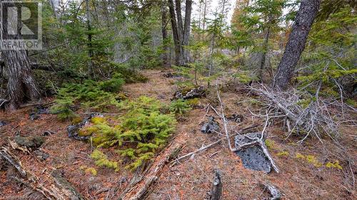 1035 Dorcas Bay Road, Northern Bruce Peninsula, ON 