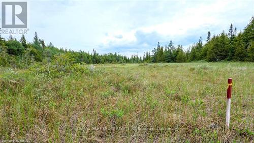 132 Bradley Drive, Northern Bruce Peninsula, ON 